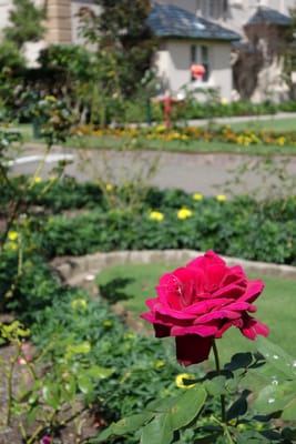 DSC01990.JPG
