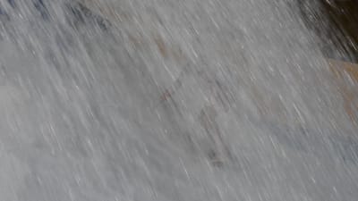 DSC_3341.MOV