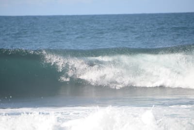 DSC_3000.JPG