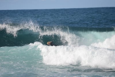 DSC_3006.JPG