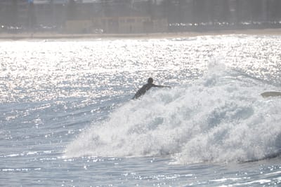 DSC_3011.JPG
