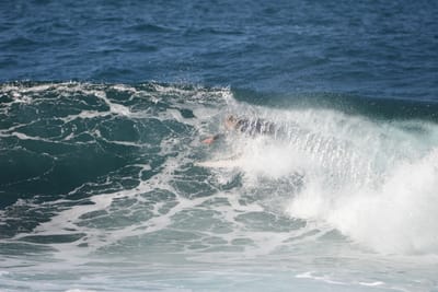 DSC_3103.JPG