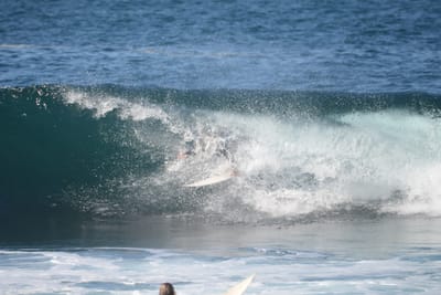 DSC_3122.JPG