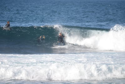 DSC_3163.JPG