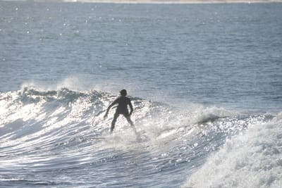 DSC_3173.JPG