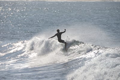 DSC_3174.JPG