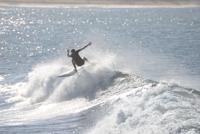 DSC_3176.JPG