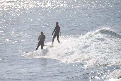 DSC_3180.JPG
