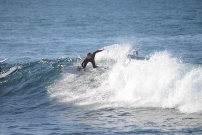 DSC_3183.JPG