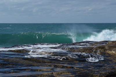 e DSC_0007.jpg