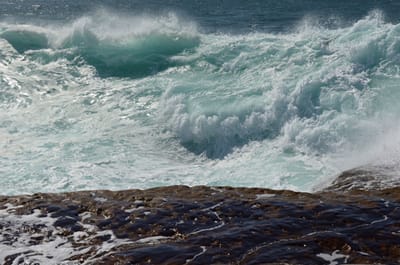e DSC_0028.jpg