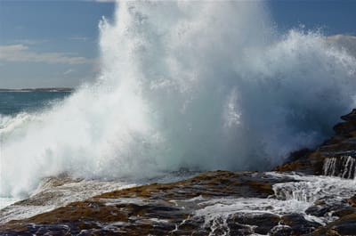 e DSC_0035.jpg