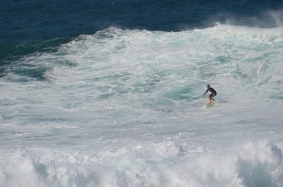 e DSC_0068.jpg