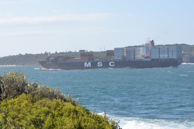 e DSC_0175.jpg