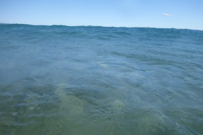 DSC04780.JPG