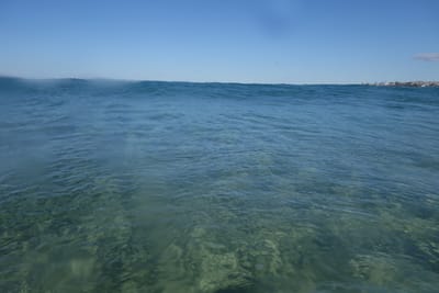 DSC04836.JPG