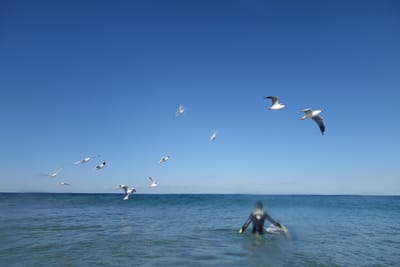 DSC04857.JPG