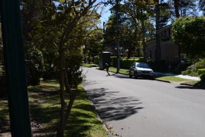 DSC_3409.JPG