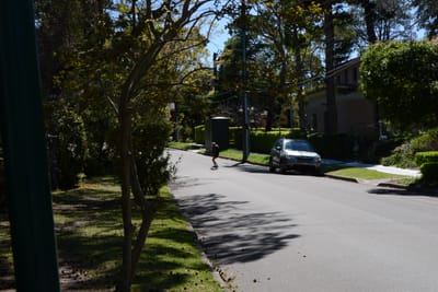 DSC_3410.JPG