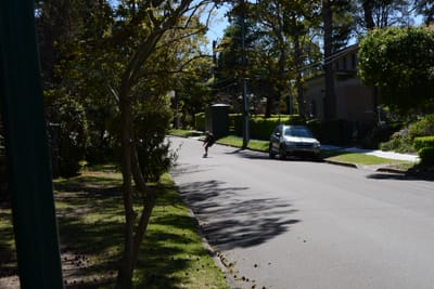 DSC_3411.JPG