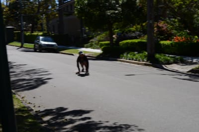 DSC_3414.JPG