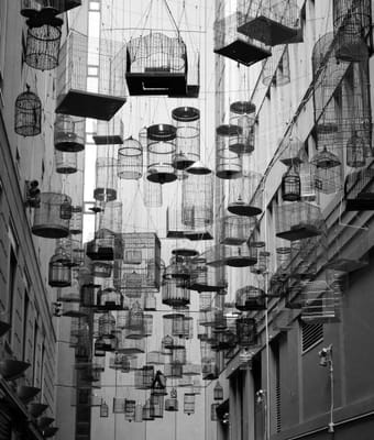 DSC03019 bw.jpg