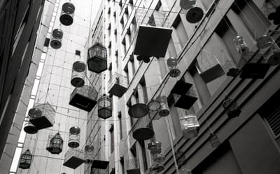 Leica M6 019.jpg