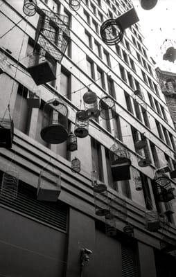 Leica M6 024.jpg