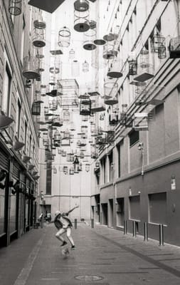 Nikon F3 024.jpg