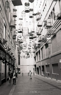 Nikon F3 025.jpg