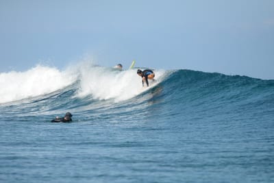 DSC_0305.JPG
