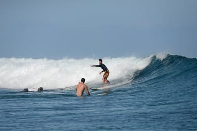 DSC_0311.JPG