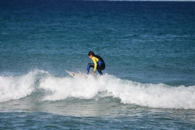 DSC_1349.JPG