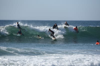 DSC_1641.JPG