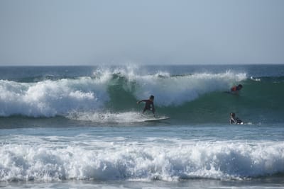 DSC_1663.JPG