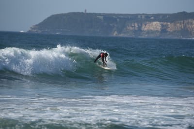 DSC_1693.JPG