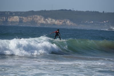 DSC_1695.JPG