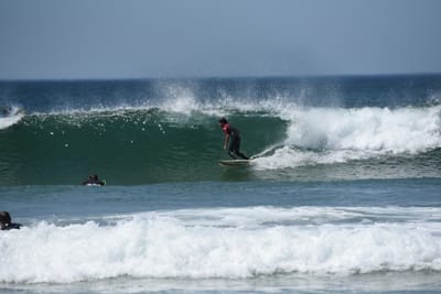 DSC_1761.JPG