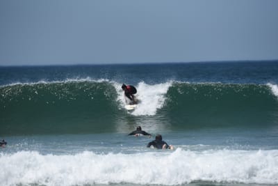 DSC_1772.JPG