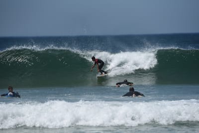 DSC_1775.JPG