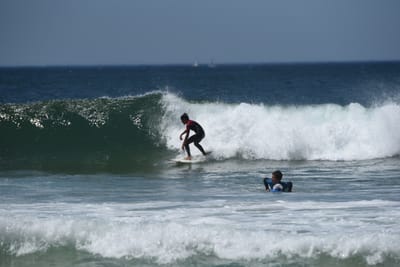 DSC_1781.JPG