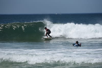 DSC_1782.JPG