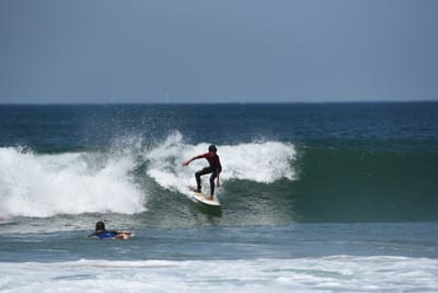 DSC_1828.JPG
