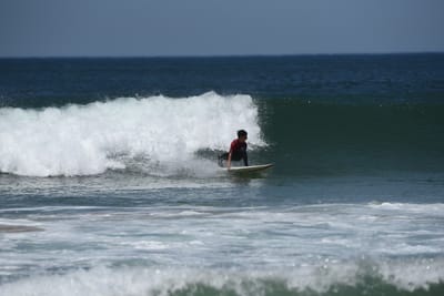 DSC_1831.JPG