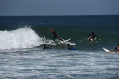 DSC_1836.JPG