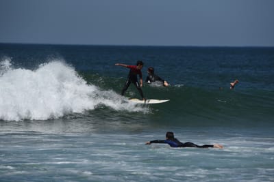 DSC_1844.JPG