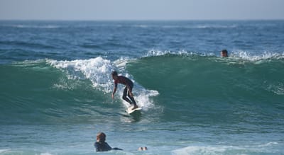 e DSC_1241.jpg