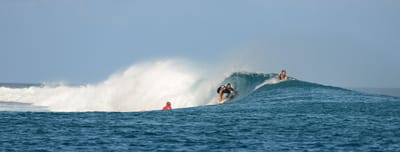 e DSC_0479.jpg