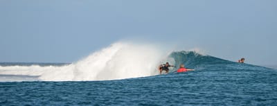 e DSC_0480.jpg