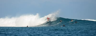 e DSC_0599.jpg